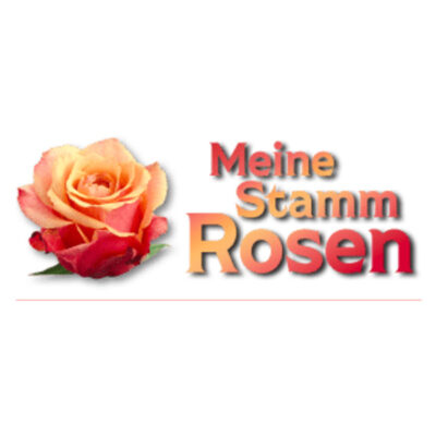 Meine Stammrosen