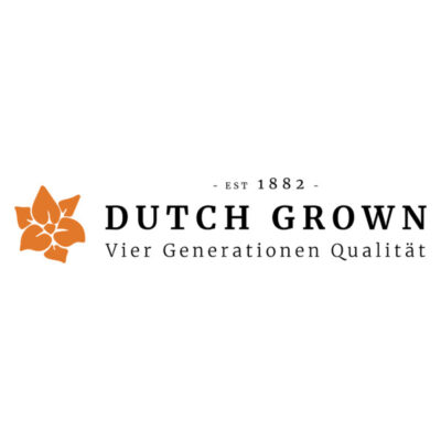 Dutch Grown